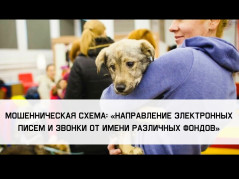 Осторожно, мошенники!